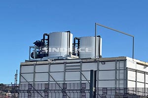 南非海鮮水產保鮮，2臺日產30噸片冰機